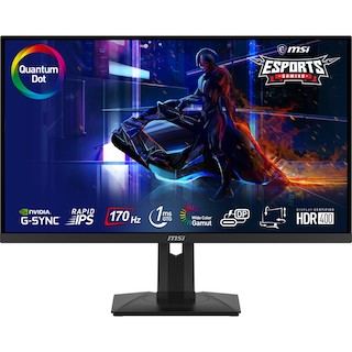 MSI G274QPF QD IPS WQHD 170HZ 1 MS Flat Gaming Monitor