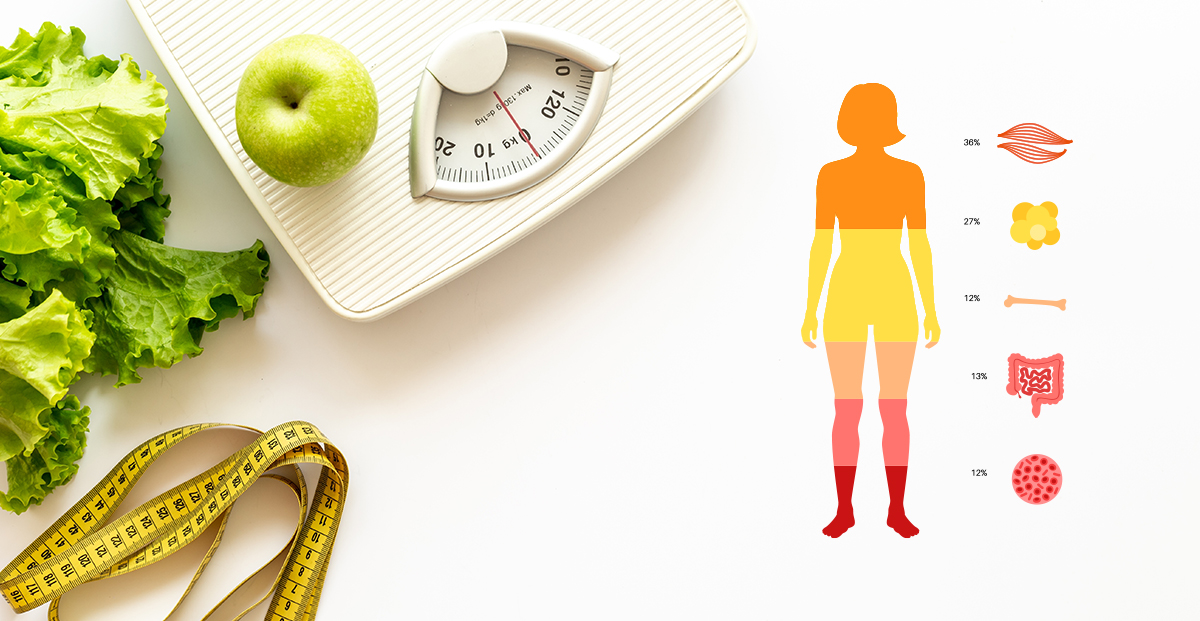 en iyi yağ kas ölçen akıllı tartı baskül markaları