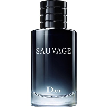 Zara HI-LO EDP Erkek Parfümü - Dior Sauvage Muadili